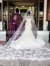 Trumpet/Mermaid Sweetheart Organza Tulle Appliques Lace Sweep Train Perfect Wedding Dresses #UKM00022869