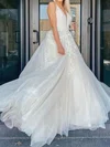 Ball Gown/Princess V-neck Tulle Sweep Train Wedding Dresses With Appliques Lace #UKM00024058