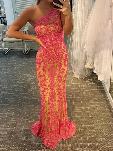 Sheath/Column One Shoulder Tulle Prom Dresses With Appliques #UKM020114313